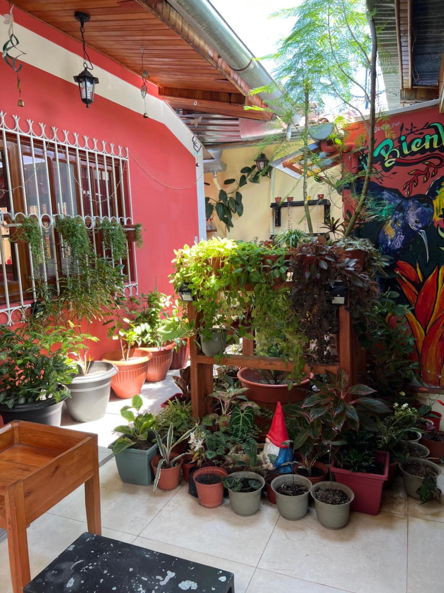 Casa Micaela Lägenhet Iquitos Exteriör bild