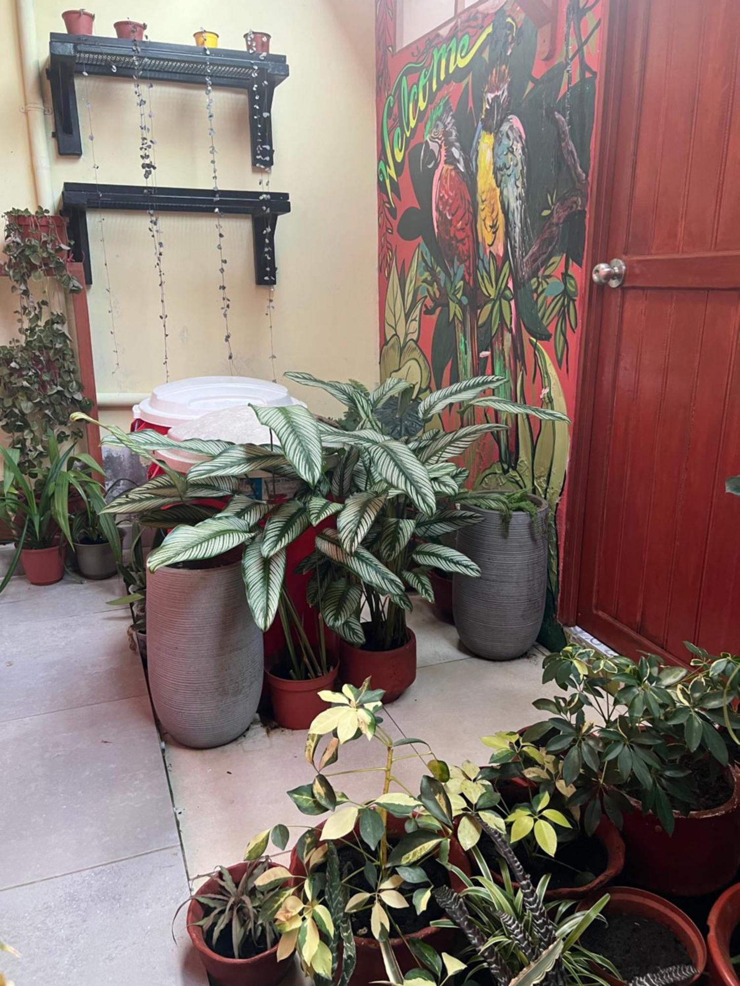 Casa Micaela Lägenhet Iquitos Exteriör bild